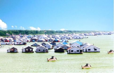 Nguyễn Minh Nhị, Bảy Nhị, cá ba sa, nông sản, nông dân, xuất khẩu, ngoại tệ